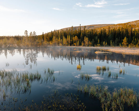 Höst vid Fulufjället, Fotoworkshop 2024